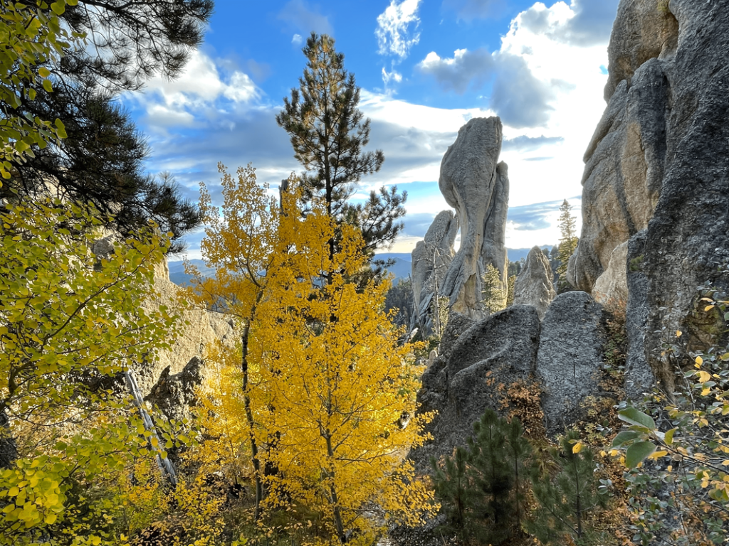 Explore Rapid City 66 needles highway fall colors explore mount rushmore