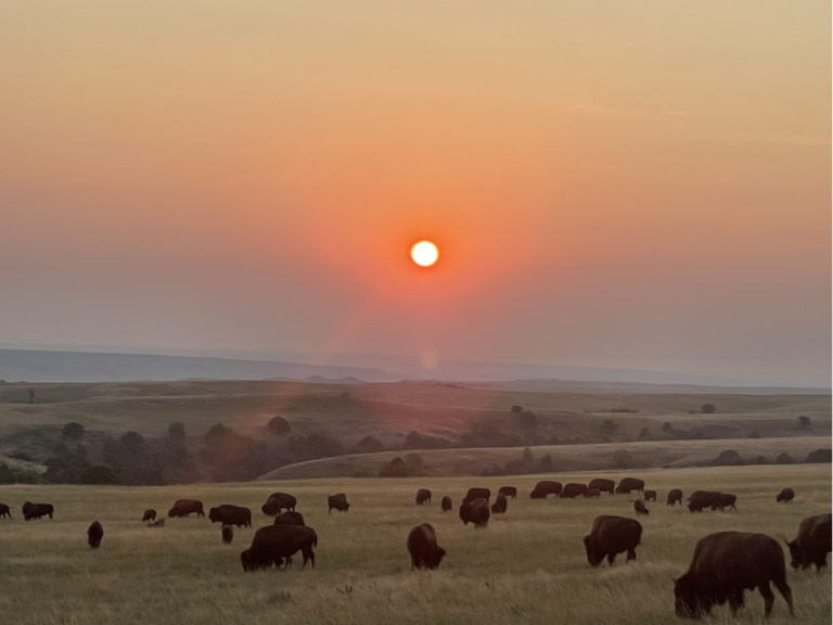 sunset in badlands national park.