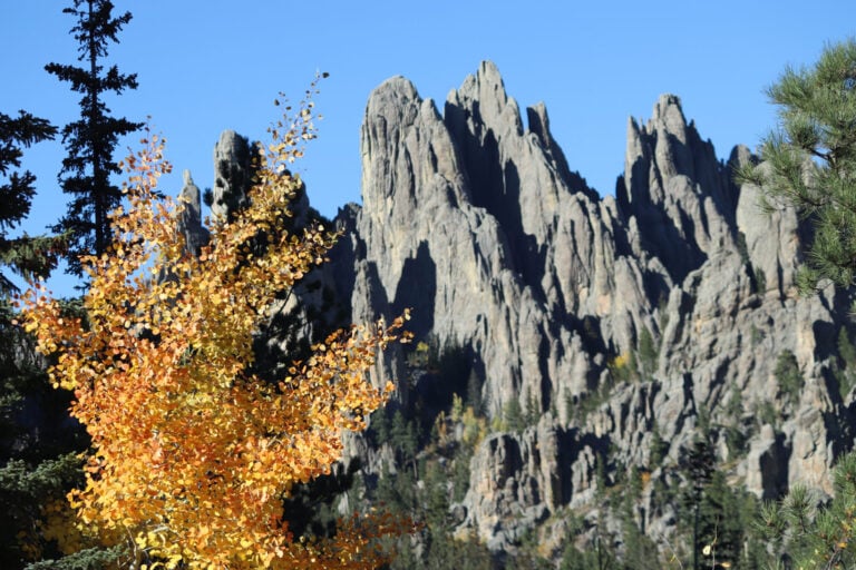 how to visit the black hills and badlands travel blog