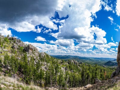 welcome to the black hills