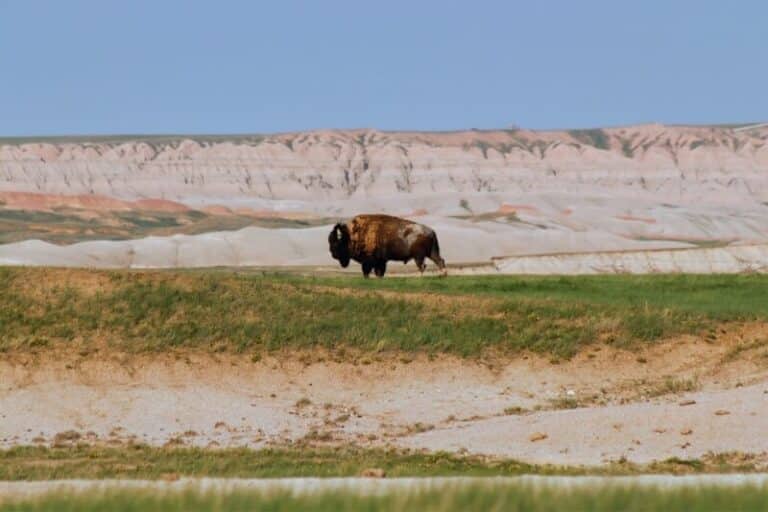common misconceptions about visiting south dakota