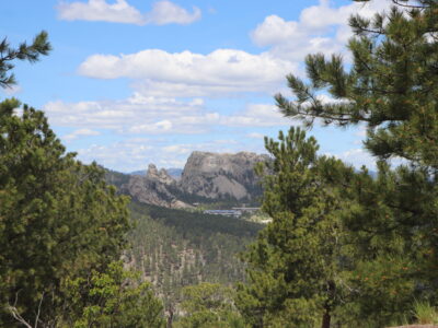 become a travel agent