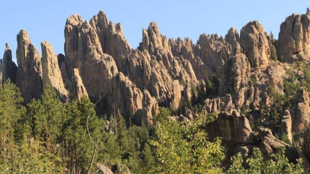 a view of the cathedral spires from peter norbeck scenic byway