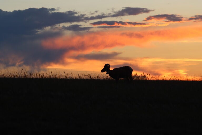 how to visit the black hills and badlands travel blog
