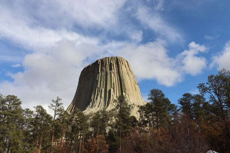 standing 867 feet tall, devils tower’s striking columns and vibrant forest surroundings make it a breathtaking blend of natural beauty and legend—a must-see in south dakota. this image represents an article about the story of devils tower national monument published by daniel milks from my xo adventure, a top-rated tour operator in south dakota.