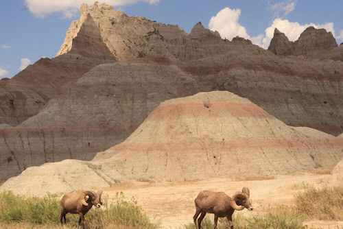 Rapid City And Living In The Wild West 66 rapid city and the wild west