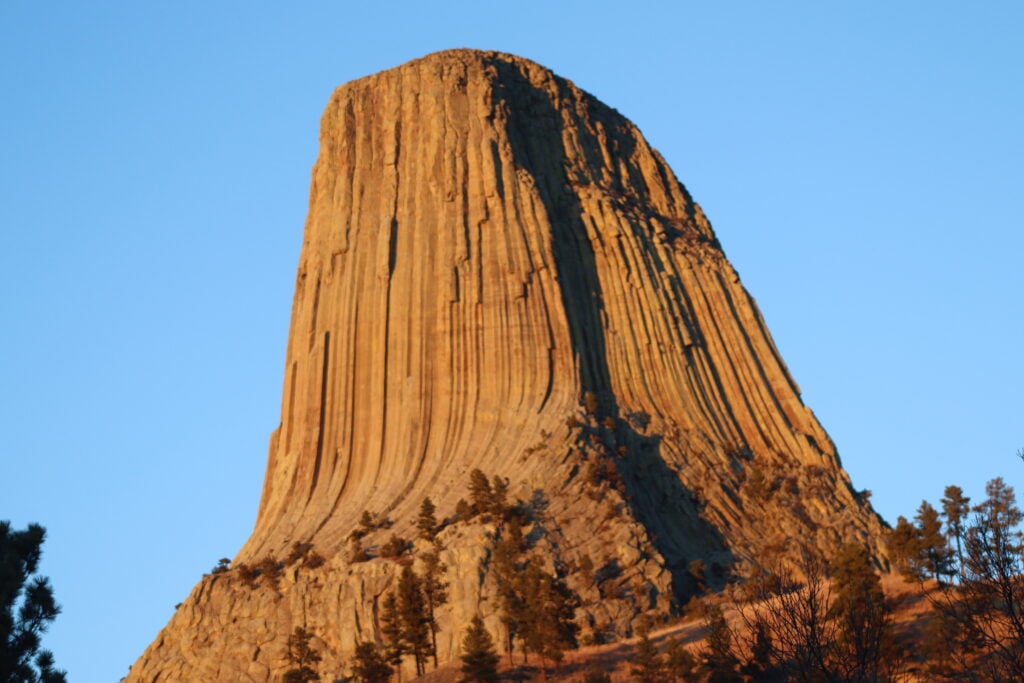 black hills tours: stunning adventures await you!