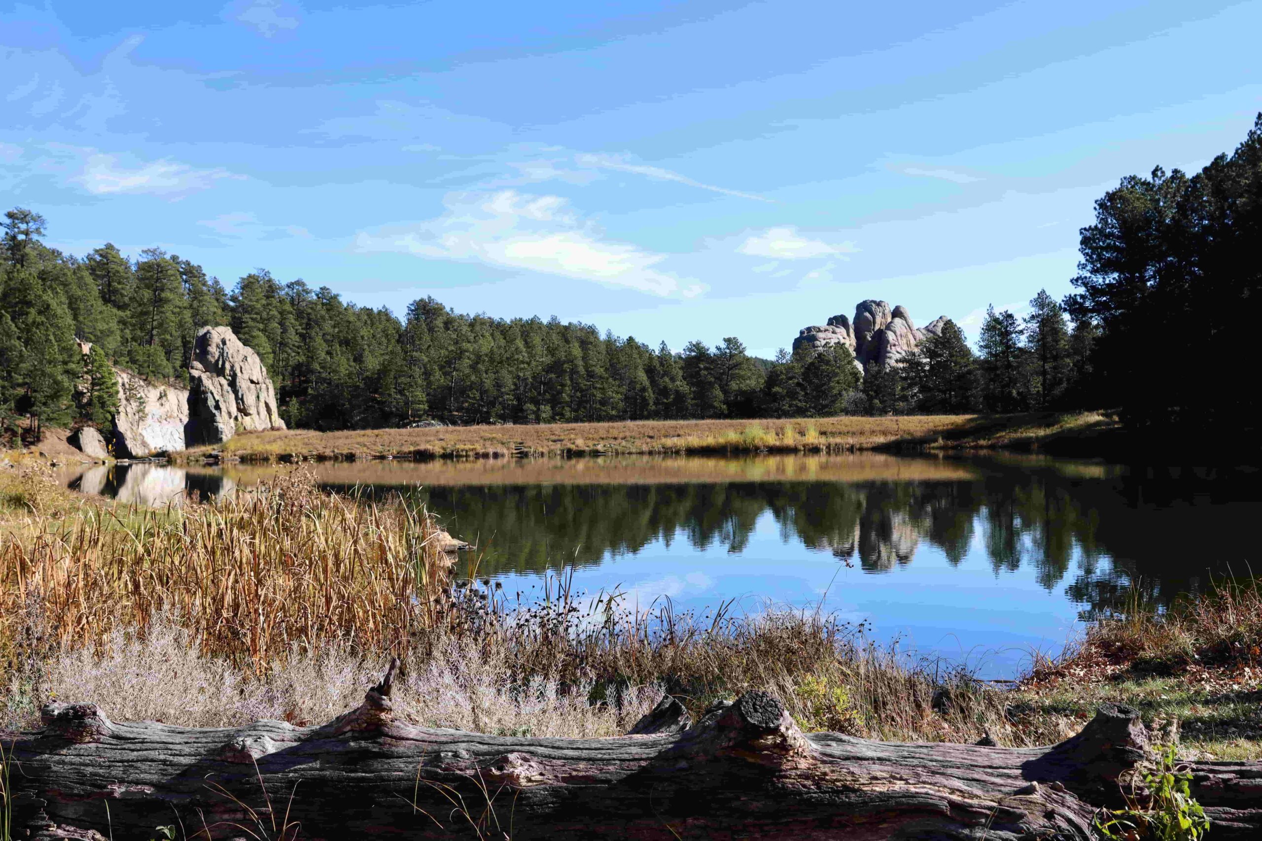 Parks And Protected Lands Of The Black Hills