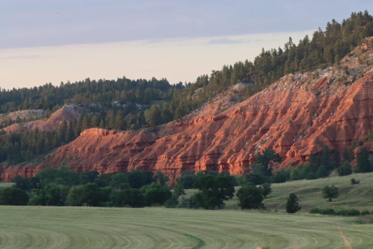 Parks And Protected Lands Of The Black Hills