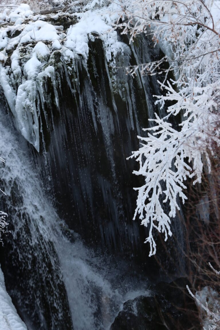 winter wonderland of the black hills in south dakota at roughlock falls. waterfalls in spearfish canyon
