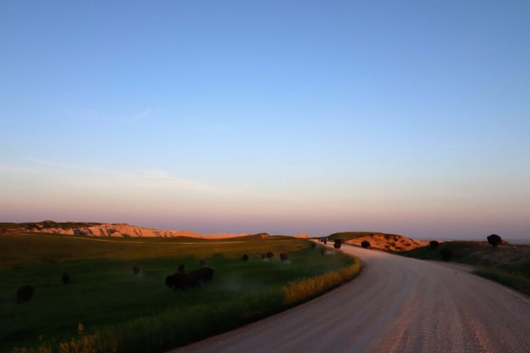 Black Hills And Badlands Travel Tips | My XO Adventures