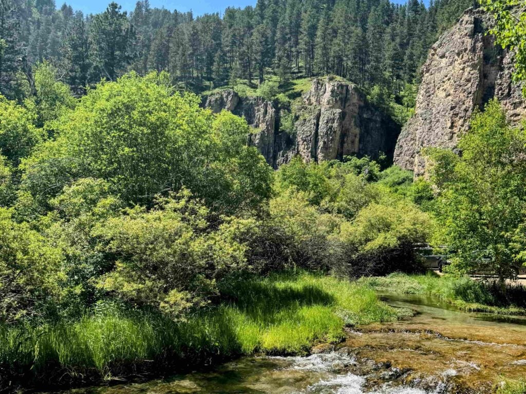 Spearfish Canyon with Limestone Cliffs and Creek