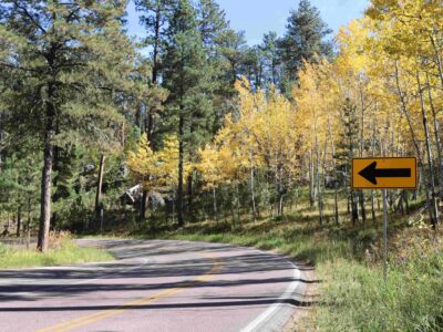 winding road of needles highway