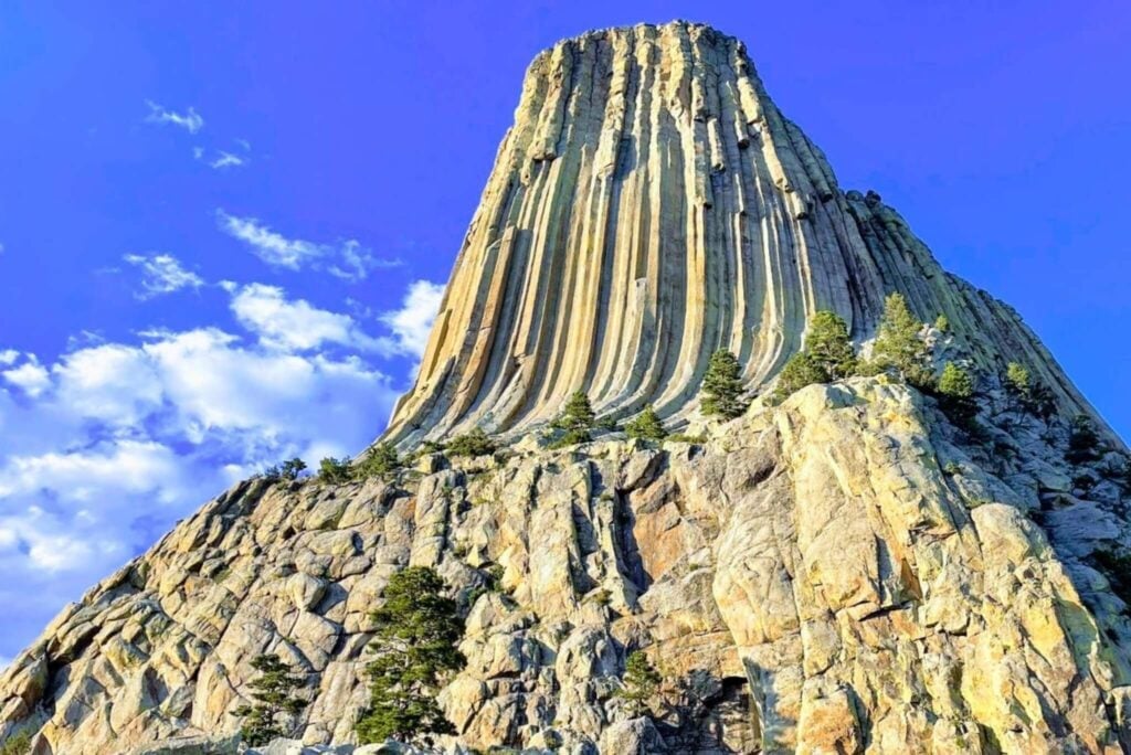 private tours of the black hills devils tower and spearfish canyon