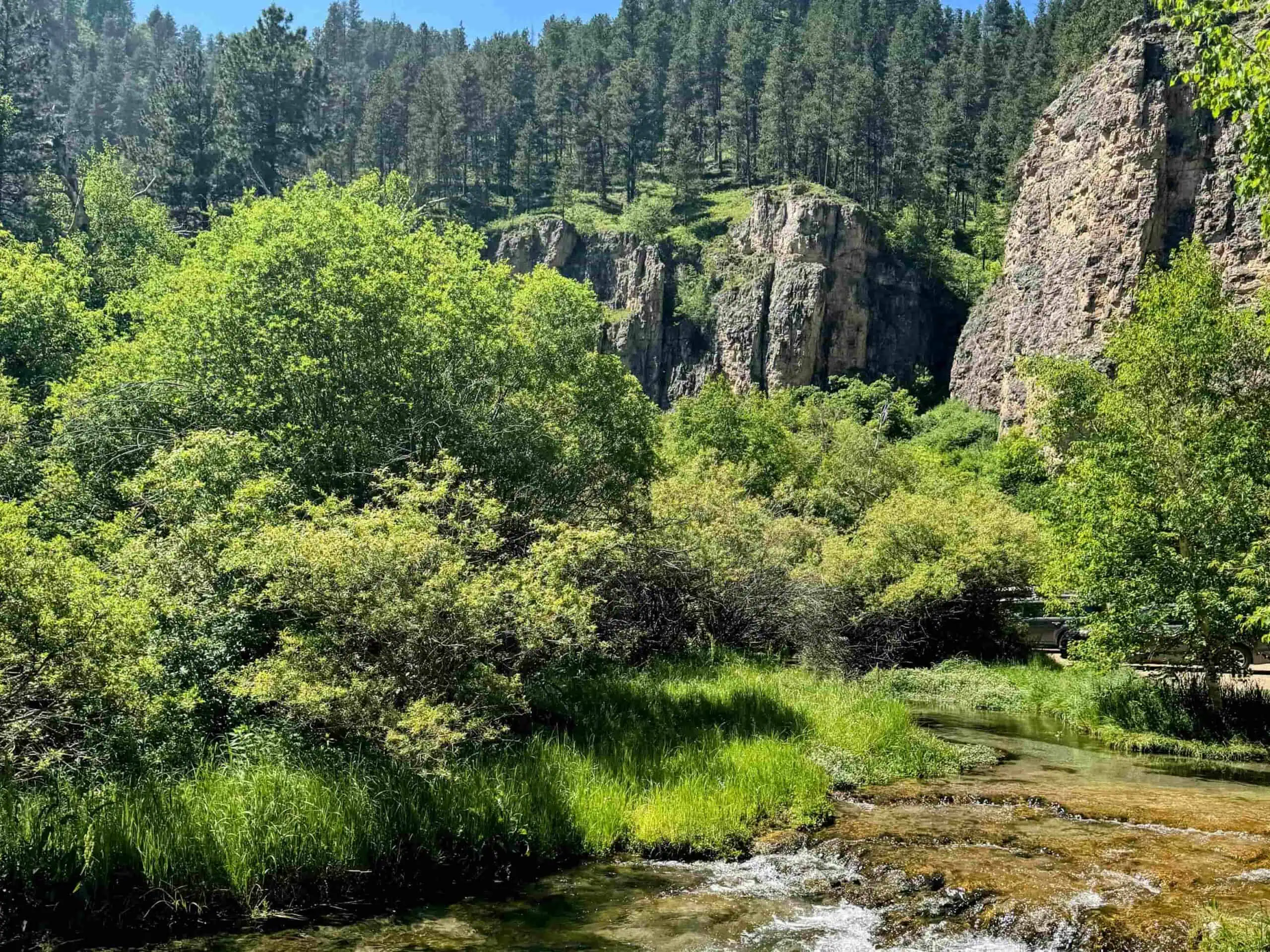 spearfish canyon creek and limestone cliffs