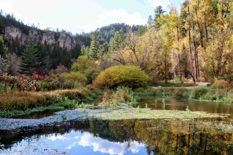 Parks, Monuments And Protected Lands Of The Black Hills And Badlands