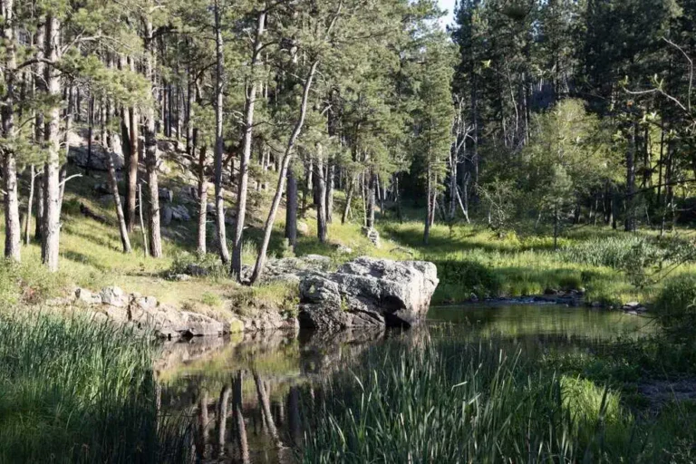 Sacred Sites Of The Black Hills And Badlands | My XO Adventures