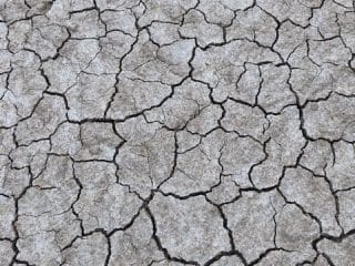 Crackled-Mud crackled-mud